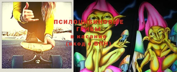 гидра Армянск