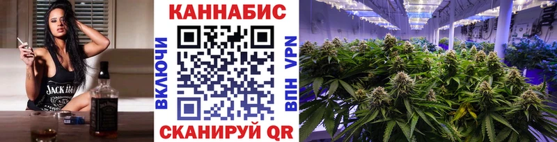 Купить  Катайск  Канабис OG Kush 